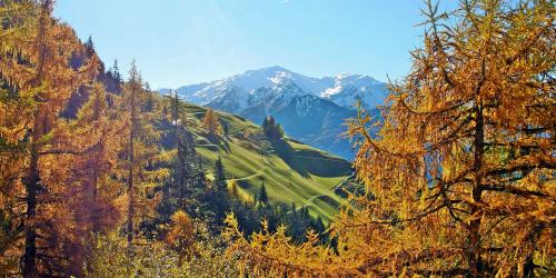 Herbstangebote Südtirol