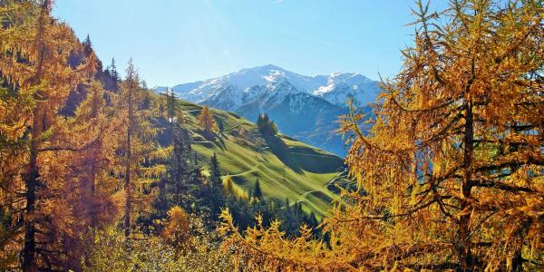 Herbstferien in Südtirol: Angebote zum Genießen