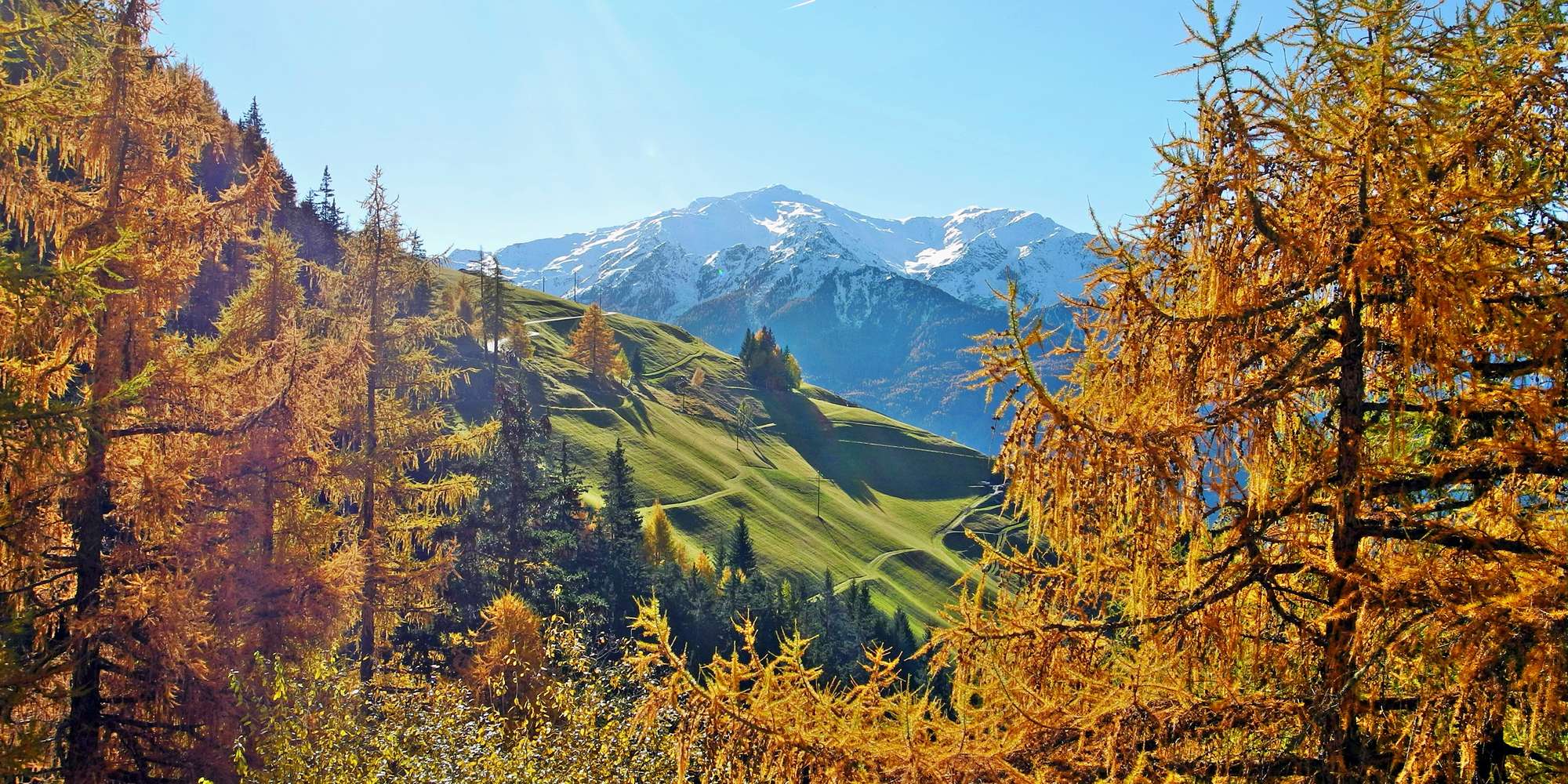 Autumn holidays in South Tyrol: Offers to enjoy